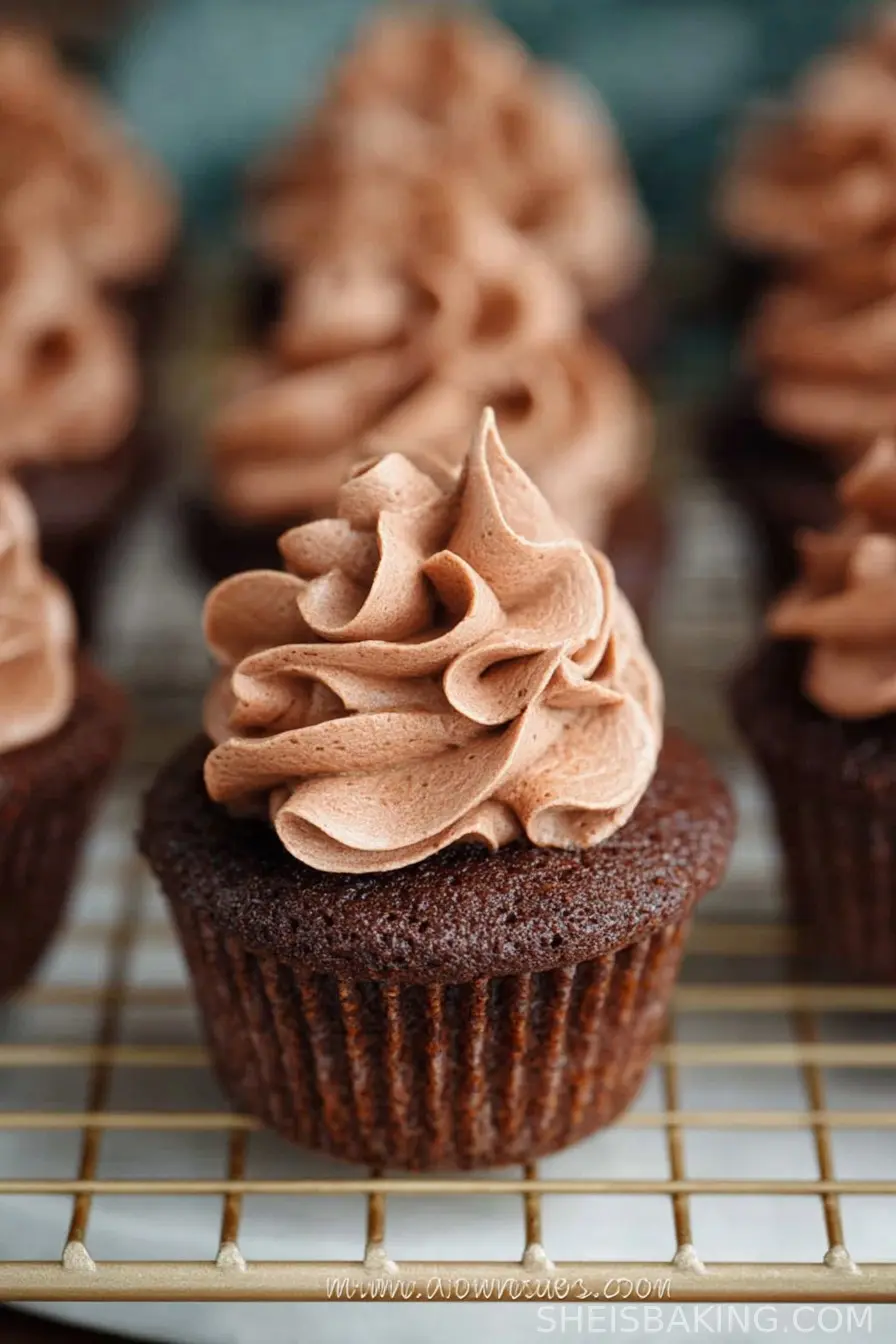 Mini Chocolate Cupcakes